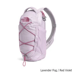 The North Face Borealis 6 Liter Sling Pack 15 The North Face Borealis 6 Liter Sling Pack -Osprey Sales Shop Borealis 6 Liter Sling Pack Lavender Violet