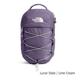 The North Face Borealis Mini 10 Liter Backpack -Osprey Sales Shop Borealis Mini 10 Liter Backpack Lunar Lime