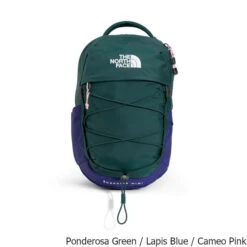 The North Face Borealis Mini 10 Liter Backpack -Osprey Sales Shop Borealis Mini 10 Liter Backpack Ponderosa Green