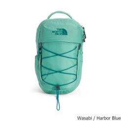 The North Face Borealis Mini 10 Liter Backpack -Osprey Sales Shop Borealis Mini 10 Liter Backpack Wasabi