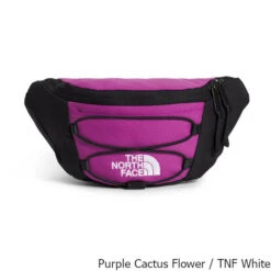 The North Face Jester 2.2 Liter Lumbar Pack 14 The North Face Jester 2.2 Liter Lumbar Pack -Osprey Sales Shop Jester 2pt2 Liter Lumbar Pack Purple Cactus White