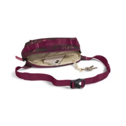 The North Face Women's Isabella 2.5 Liter Hip Pack -Osprey Sales Shop Womens Isabella 2pt5 Liter Hip Pack 3